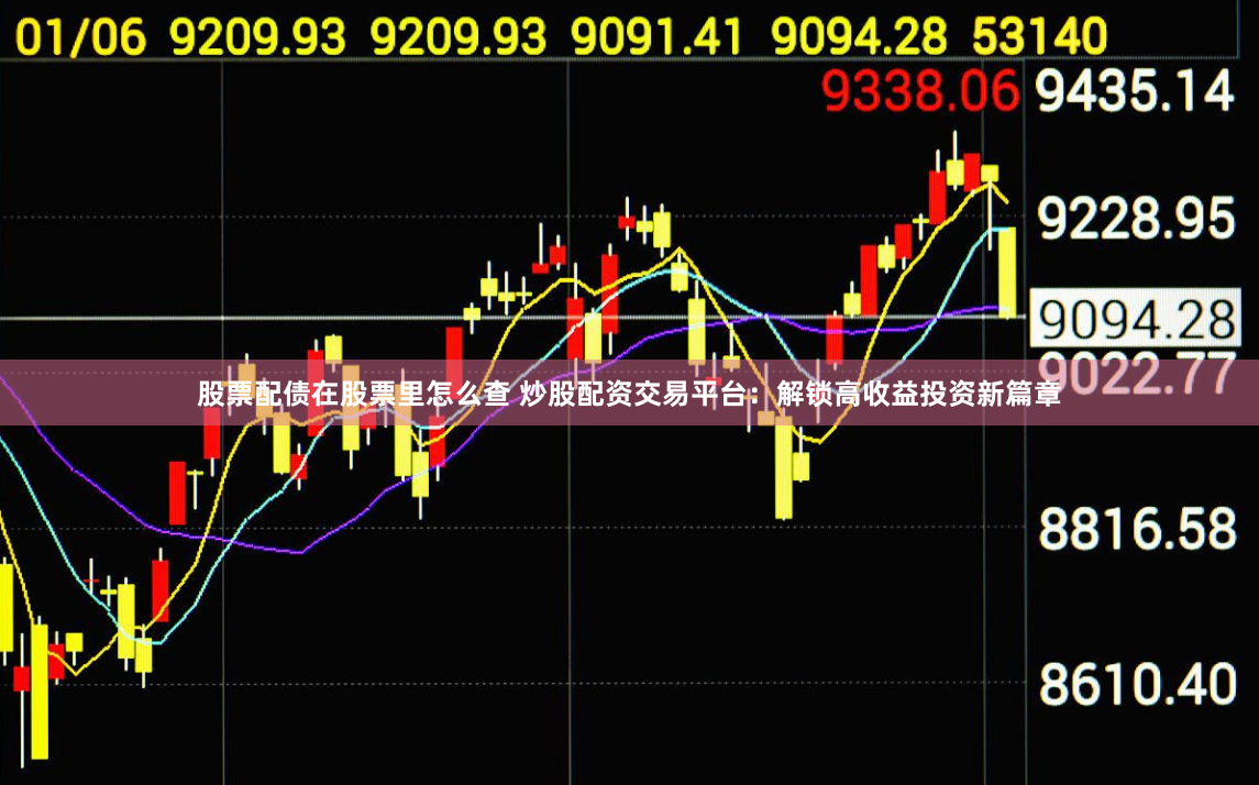 股票配债在股票里怎么查 炒股配资交易平台：解锁高收益投资新篇章